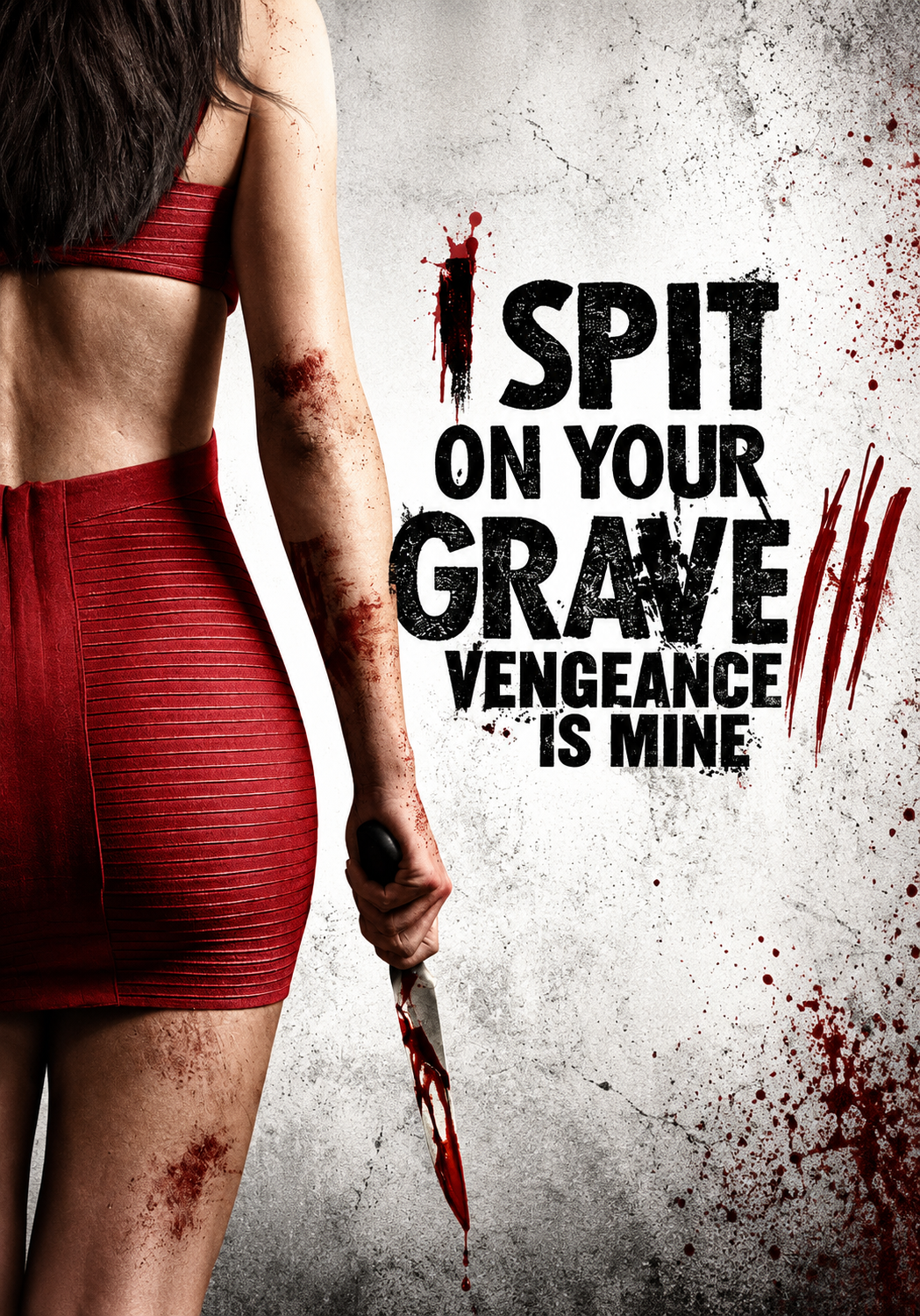 I Spit on Your Grave 3 (2015) (Hindi + English) Dual Audio Hollywood Movie BluRay HD ESub